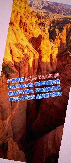 龙岗孕母科技服务工作室
